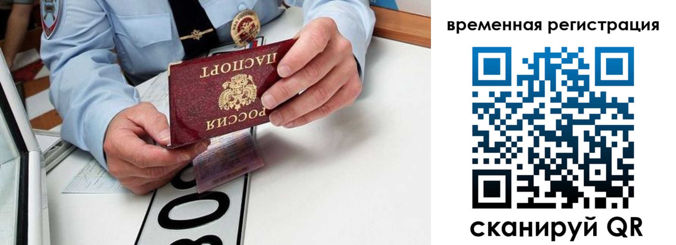 прописка гарантия в Райчихинске